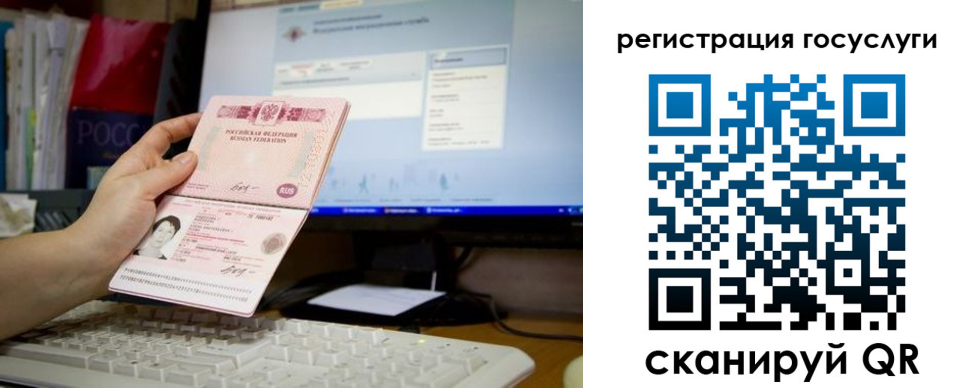 прописка поиск в Рошале